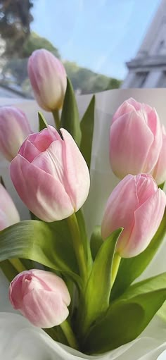 pink tulips in a white vase on a window sill