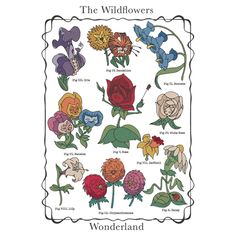 the wildflowers are shown in this coloring book