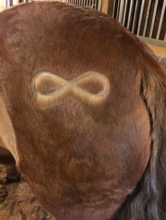 a close up of a horse's head with an infinite sign drawn on it