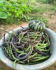 a large bowl filled with lots of green vegetables on top of a grass covered field