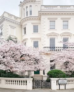 a large white building with lots of cherry blossoms on it's trees and bushes