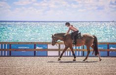 a woman riding on the back of a brown horse next to the ocean in front of a wooden fence