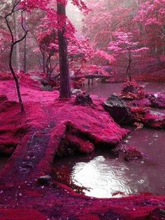 a stream running through a lush green forest covered in pink flowers and mossy rocks