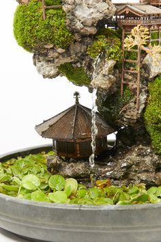 a bonsai tree with moss growing on it's sides and a house in the background