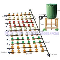 the diagram shows how to set up an outdoor garden system for growing tomatoes and other vegetables