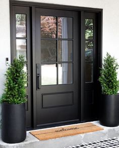 two potted plants are on the front door sill next to a welcome mat