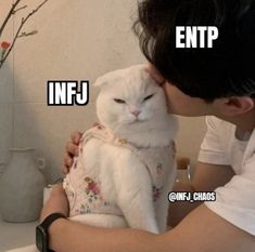 Infj Entp Ship, Entp X Infj, Infj Entp, Entp And Intj, Enfp And Infj