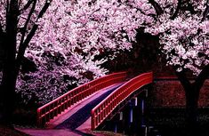 a red bridge with pink flowers on the trees