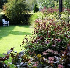 a white bench sitting in the middle of a garden