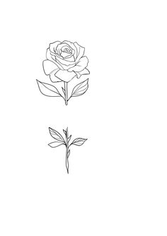 the outline of a rose is shown in black and white, with one single flower on it