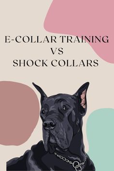 a black dog with the words e - collar training vs shock collars