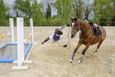 a person jumping a horse over an obstacle in the middle of a dirt field with trees in the background