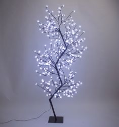 a lighted tree with white lights on it's branches is shown in front of a gray background