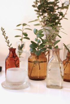 three vases with plants in them sitting on a table