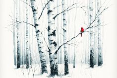 a painting of a red bird perched on a tree branch in the snow near birch trees