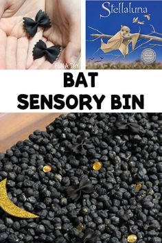 a close up of a person holding some sort of item with text overlay that reads bat sensory bin