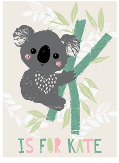 a koala is sitting on top of a tree branch with the words, is for kate