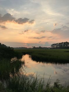 the sun is setting over a marshy area with water and grass in front of it