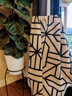 a potted plant sitting next to a window with a curtain in front of it