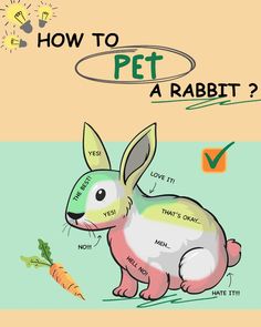 how to pet a rabbit? info sheet for kids and adults with pictures on it