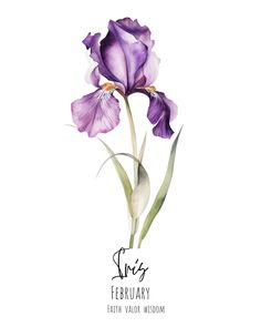 a watercolor painting of purple flowers with the words styr's february written below