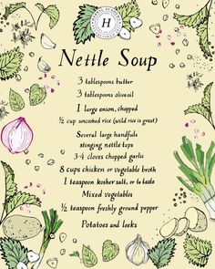 a recipe for nettle soup is shown in the middle of a frame with vegetables and herbs