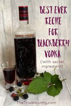 the best ever recipe for blackberry vodka with secret ingredient