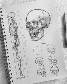 a drawing of a human skull with different facial expressions and body parts drawn on top of it