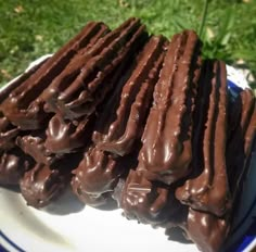 chocolate covered cookies on a plate in the grass