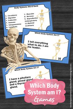 two cards with skeleton images and text that says which body system am i? games