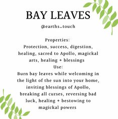 Bay Leaf Witchcraft Uses, Herbs Properties Witchcraft, Magical Properties Of Bay Leaves, Bay Leaves Uses Witchcraft, Basil Leaves Witchcraft, How To Use Bay Leaves In Spells, Grow Bay Leaves, Bay Leaf Magical Properties, Angelica Leaves Witchcraft