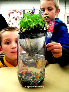 two boys sitting at a table with a plant in a glass vase on top of it