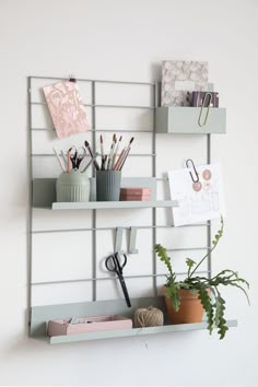 two shelves with office supplies on them and a plant in the corner next to it