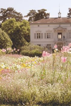 pink and white flowers are in front of a large, ornate house with tall trees