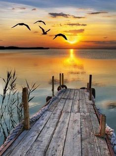 a dock with birds flying over the water at sunset