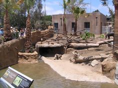 people are looking at an animal exhibit in the water with palm trees and other animals