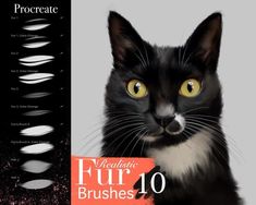 a black and white cat with yellow eyes is shown in front of an advertisement for fur brushes