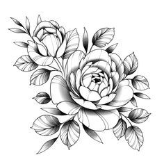 a black and white drawing of flowers with leaves on the bottom half of their petals