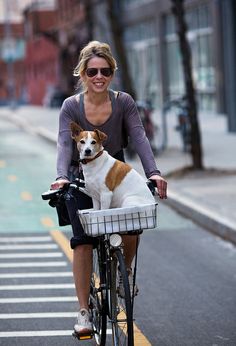 a woman riding a bike with a dog in the basket on the front and side