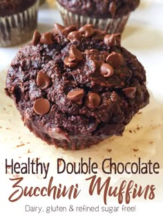 two chocolate muffins with chocolate chips on top