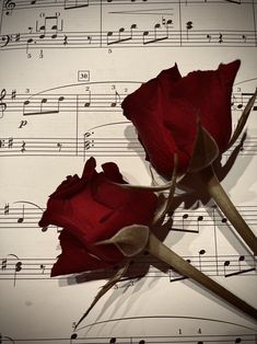 two red roses sitting on top of sheet music