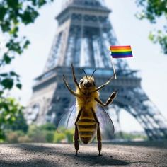 a bee holding a rainbow flag in front of the eiffel tower