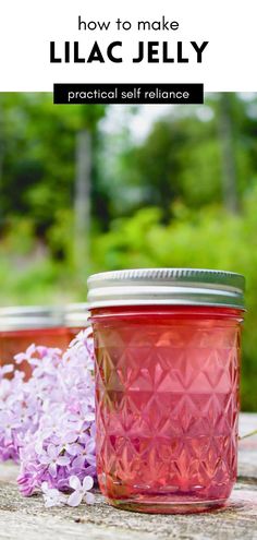 Discover the art of canning with this exquisite lilac-infused jelly recipe. Preserve the essence of spring in every jar and savor the delicate taste year-round. Crafted with fresh lilac blossoms, this jelly is a testament to the beauty of canning. Seal in the enchanting aroma and flavors of lilacs. Find more Creative Canning Recipes at Practical Self Reliance. Lilac Jelly, Herbal Jelly, Lavender Jelly, Floral Jelly, Jelly Making, Healthy Spring Recipes, Flower Jelly, Edible Flowers Recipes, Eastern Redbud