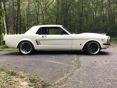 a white mustang sitting in the middle of a forest