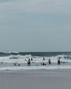 several people are standing in the ocean with surfboards