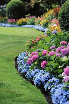 colorful flowers line the edge of a lawn