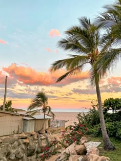 a palm tree sitting on top of a lush green hillside next to the ocean at sunset