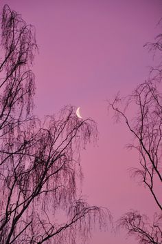 the moon is setting behind some trees