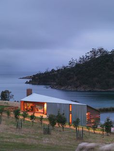 two sheep graze in front of a house near the water at dusk with an overcast sky