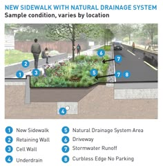 a diagram showing the various features of a natural drainage system